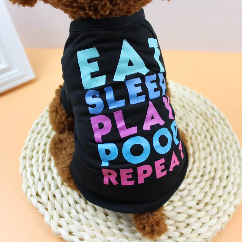 Teddy Bichon VIP Apparel for Small and Medium Dogs