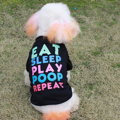 Teddy Bichon VIP Apparel for Small and Medium Dogs
